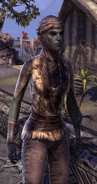 Datei:ESO Badami Teryon.jpg