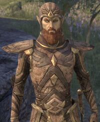 ESO Königlicher Gardist.jpg