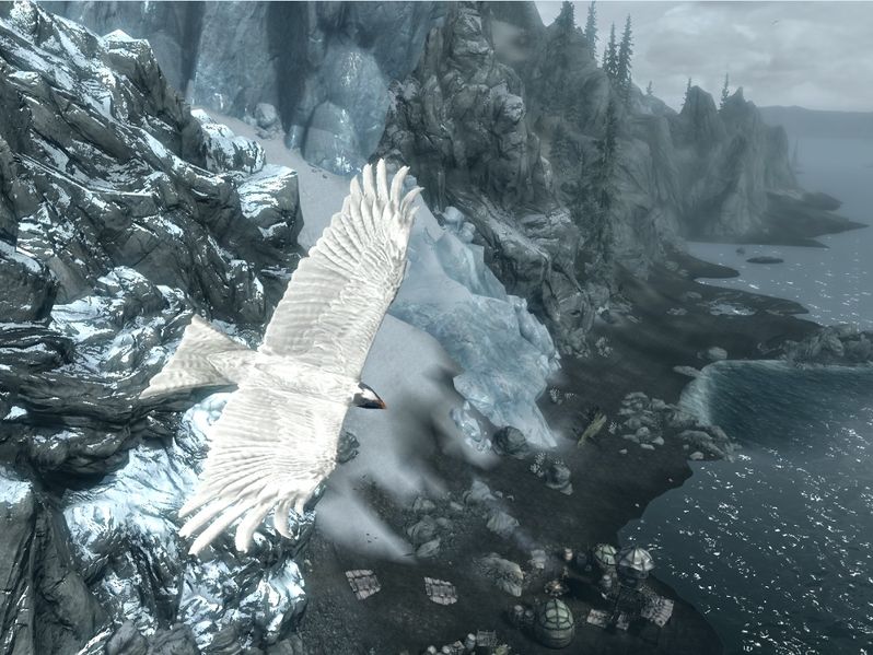 Datei:SR Felsaad Seeschwalbe - Flug.jpg