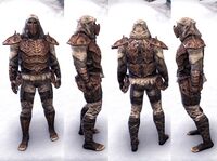 ESO Aschländerrüstung des Kageshstamms-m.jpg