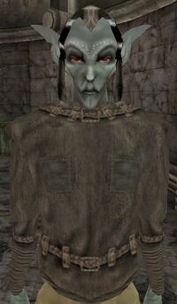 MW Schwarzpfeil Adren.jpg