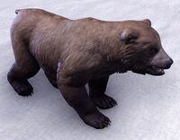 ESO Höhlenbärenjunges.jpg