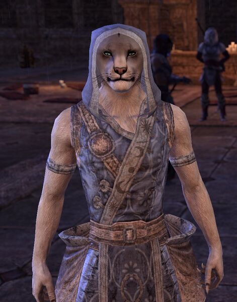 Datei:ESO Mondbischof Hunal.jpg