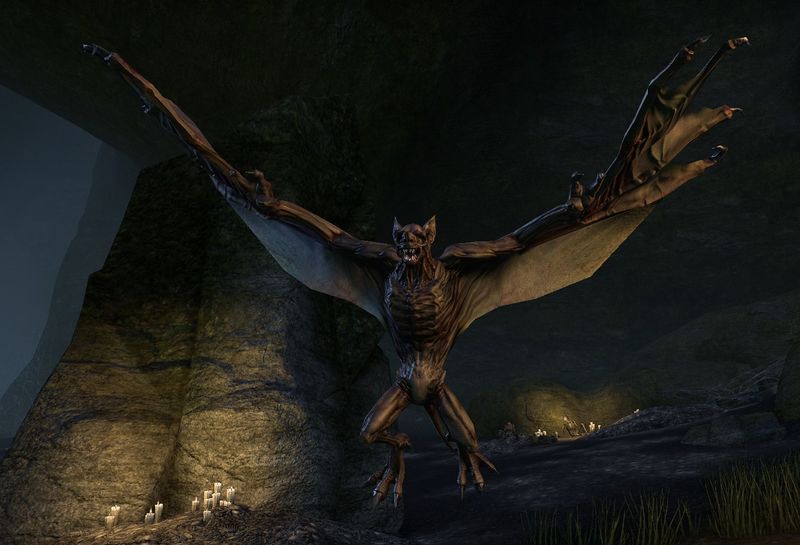 Datei:ESO Werfledermaus.jpg