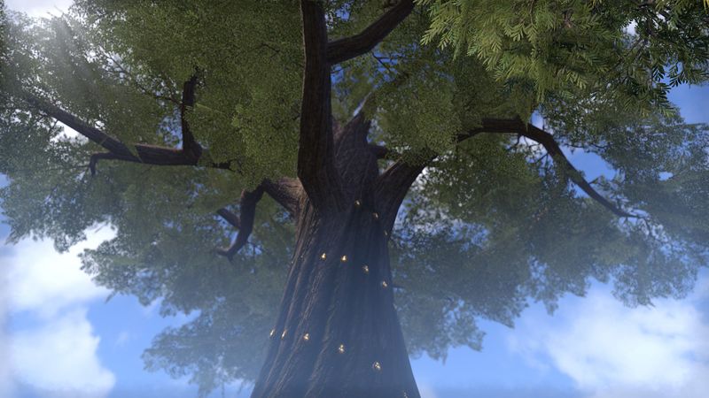 Datei:ESO Eldenwurz - Eldenbaum.jpg