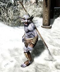 SR Riekling Spaeher.jpg