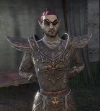 ESO Kampfmeister Rivyn.jpg