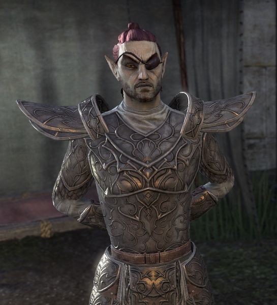 Datei:ESO Kampfmeister Rivyn.jpg