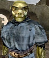 MW Shargam gro-Shagdulg.jpg