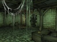 Verlassenes Haus - Keller.JPG