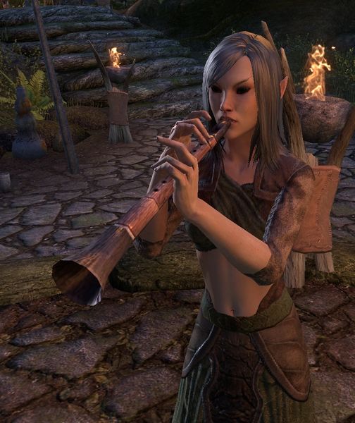 Datei:ESO Iirwaen (Dornbruch).jpg