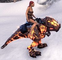 ESO Glutflammenguar Tragekapazität.jpg