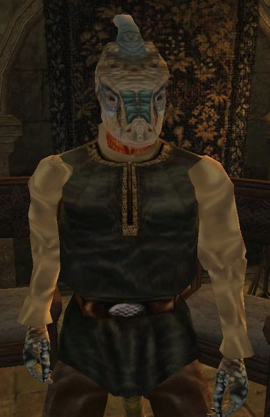 Datei:MW Skink-Im-Schatten.jpg