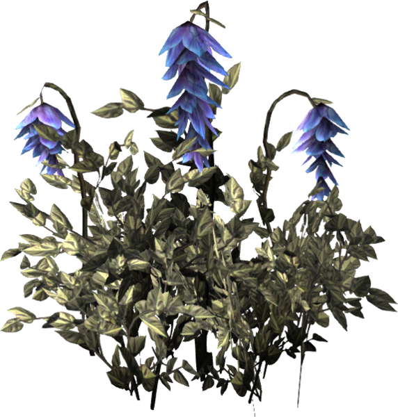 Datei:Todesglockenblume Pflanze.png