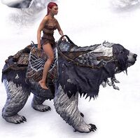 ESO Frostfluch-Bär Tragekapazität.jpg