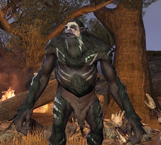 Datei:ESO Großer Ozur.jpg