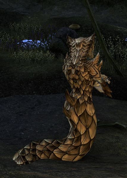 Datei:ESO Lamie - Rücken.jpg