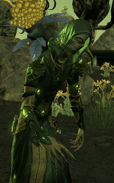 Datei:ESO Anormaler Marantischer.jpg