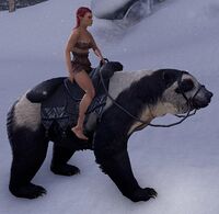 ESO Brillenbär Basis.jpg