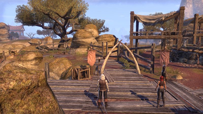 Datei:ESO Hadrans Karawane - Stachelball.jpg