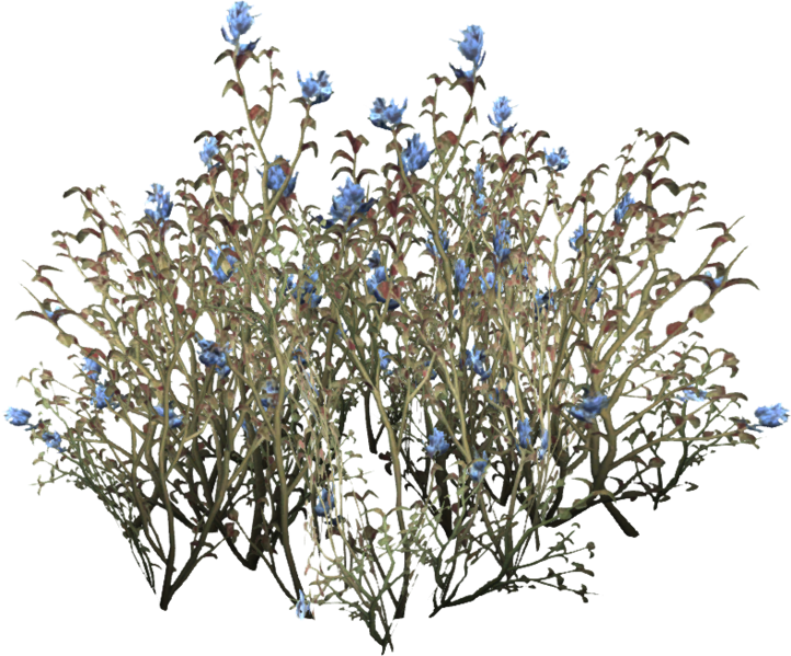 Datei:SR Blaue Bergblume Pflanze.png