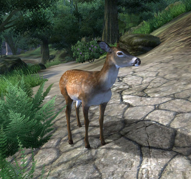 Datei:OBL Hirsch.jpg