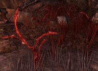 ESO Harrada und Blutgras.jpg