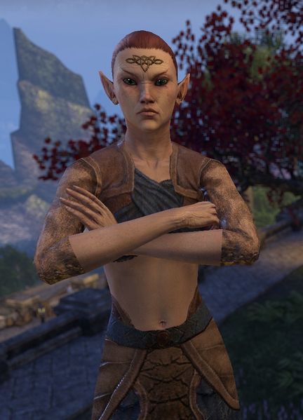 Datei:ESO Nielaenor.jpg