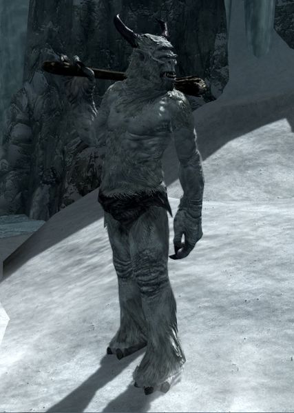 Datei:SR Frostriese.jpg