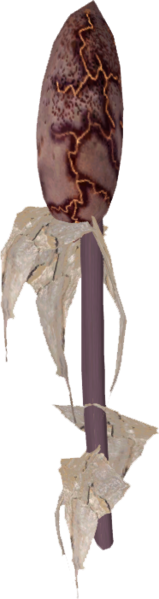 Datei:SR Aschengras-Schote.png