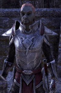 ESO Feldwebel Nirm.jpg