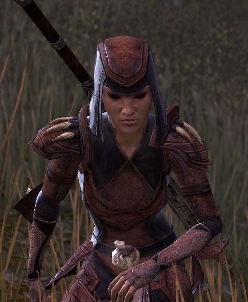 Datei:ESO Malfinir.jpg