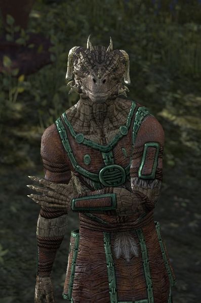 Datei:ESO Yinz-Hei.jpg