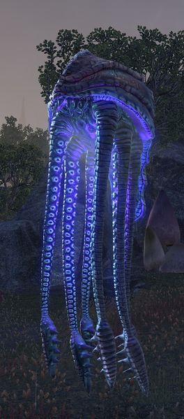 Datei:ESO Netchbulle.jpg