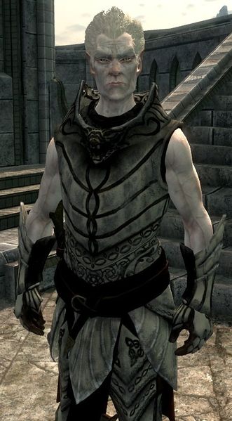 Datei:SR Ritter-Paladin Gelebor.jpg