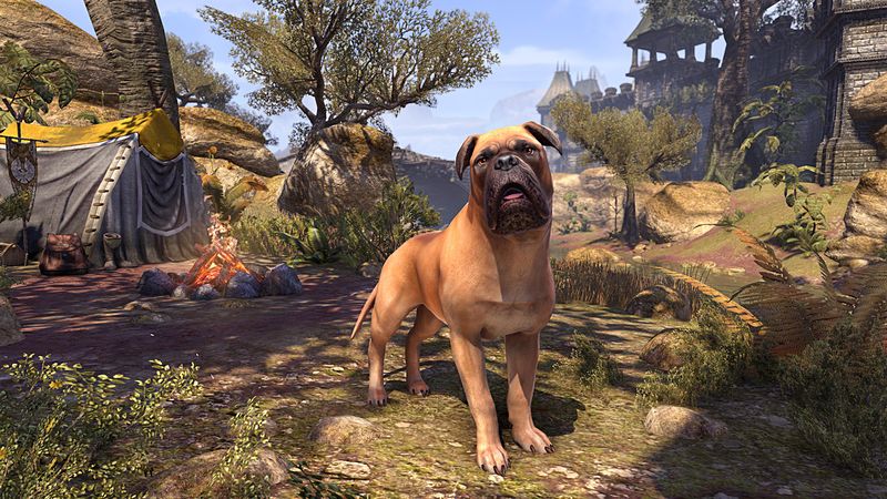 Datei:ESO Hellbrauner Morthal-Mastiff Promo.jpg