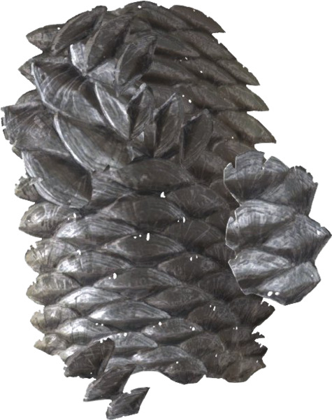 Datei:SR Schlachterfischschuppen.png