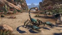 ESO Himmelblauer Skorpion Promo.jpg