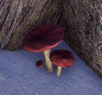 ESO Brechtäubling.jpg