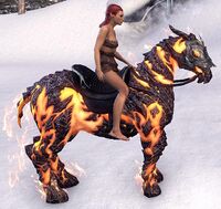 ESO Glutflammenpferd Ausdauer.jpg