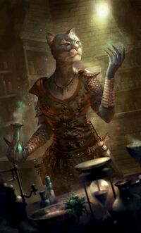 LG Artwork Weiblicher Khajiit.jpg