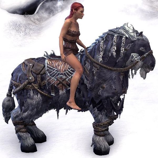 Datei:ESO Frostfluch-Pferd Tempo.jpg