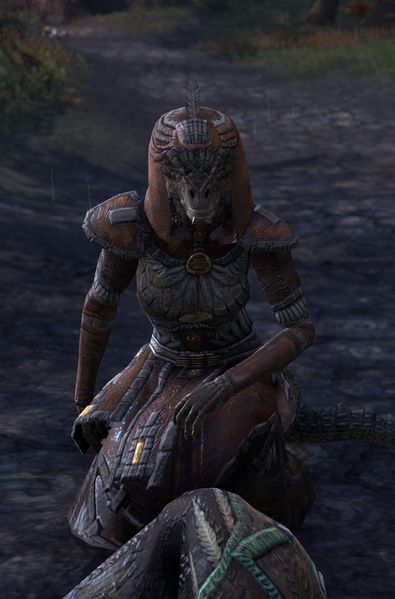 Datei:ESO Nukorash die Heilerin.jpg