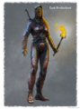 Skrim Artwork Dark Brotherhood Female Armor.png