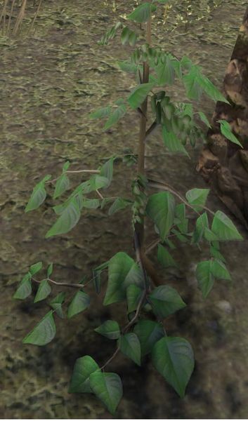 Datei:ESO Benediktenkraut.jpg