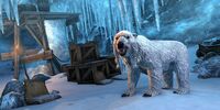 ESO Frostfluch-Bär (Begleiter) Promo.jpg