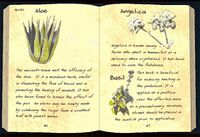 RG Hammerfells Flora - Buch (Innen).jpg