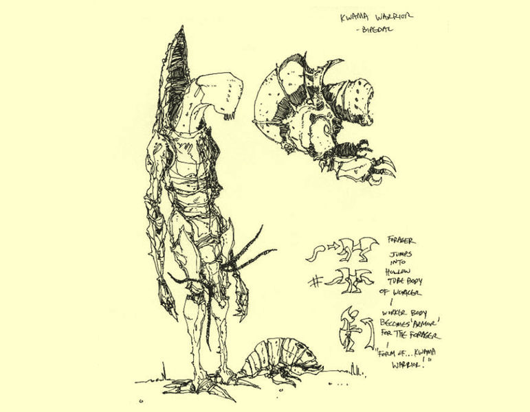 Datei:Skizze - Kwama.jpg