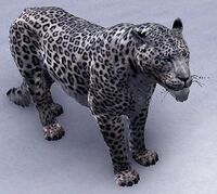 ESO Gesprenkelter Schneeleopardensenche.jpg