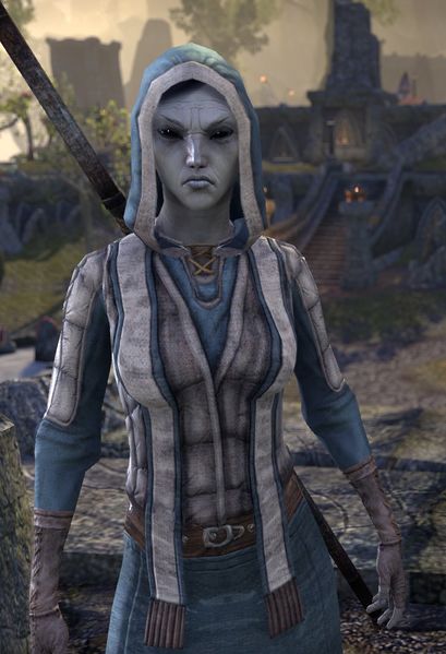 Datei:ESO Priesterin Dilyne.jpg